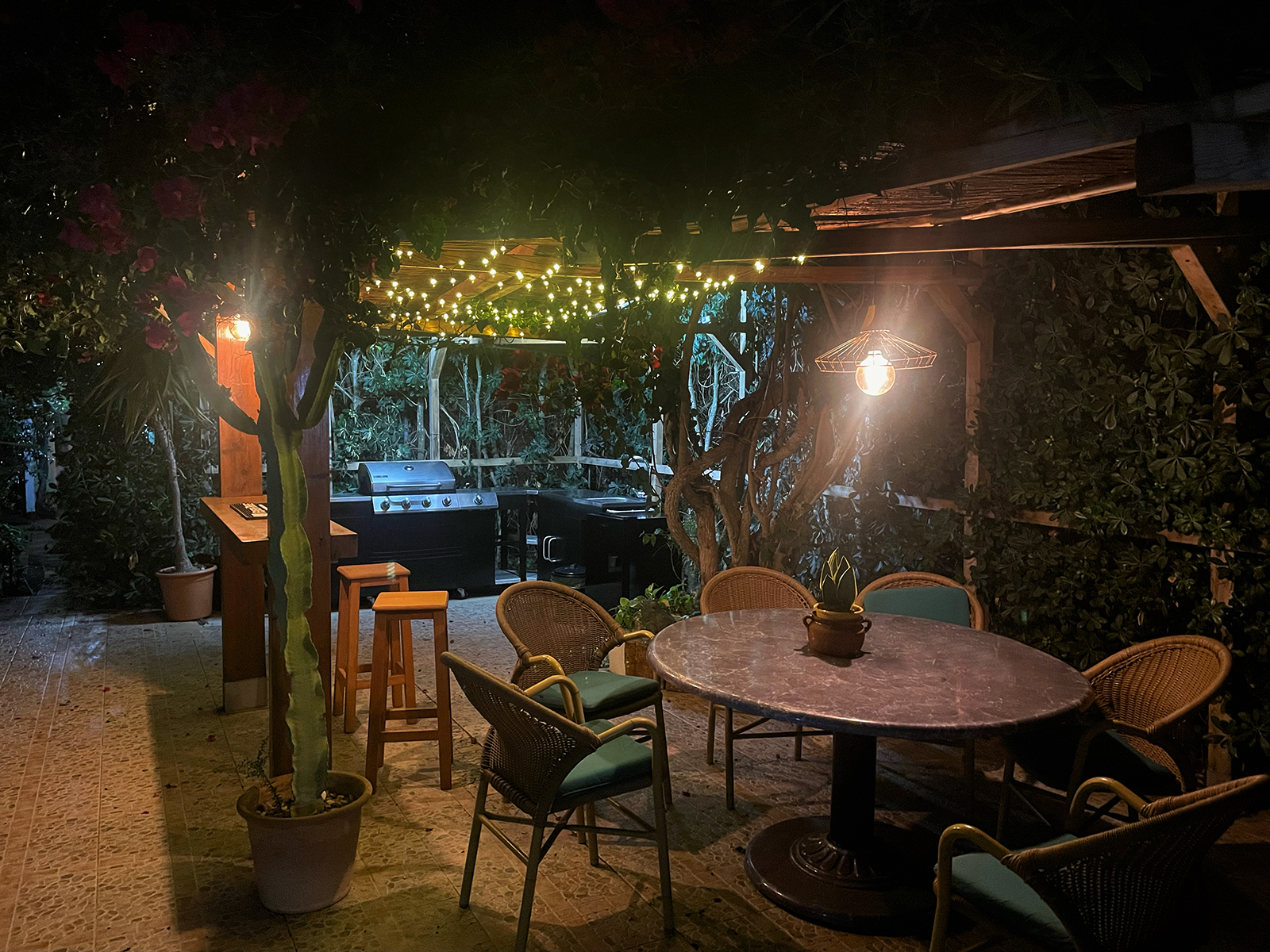 The bar area by night