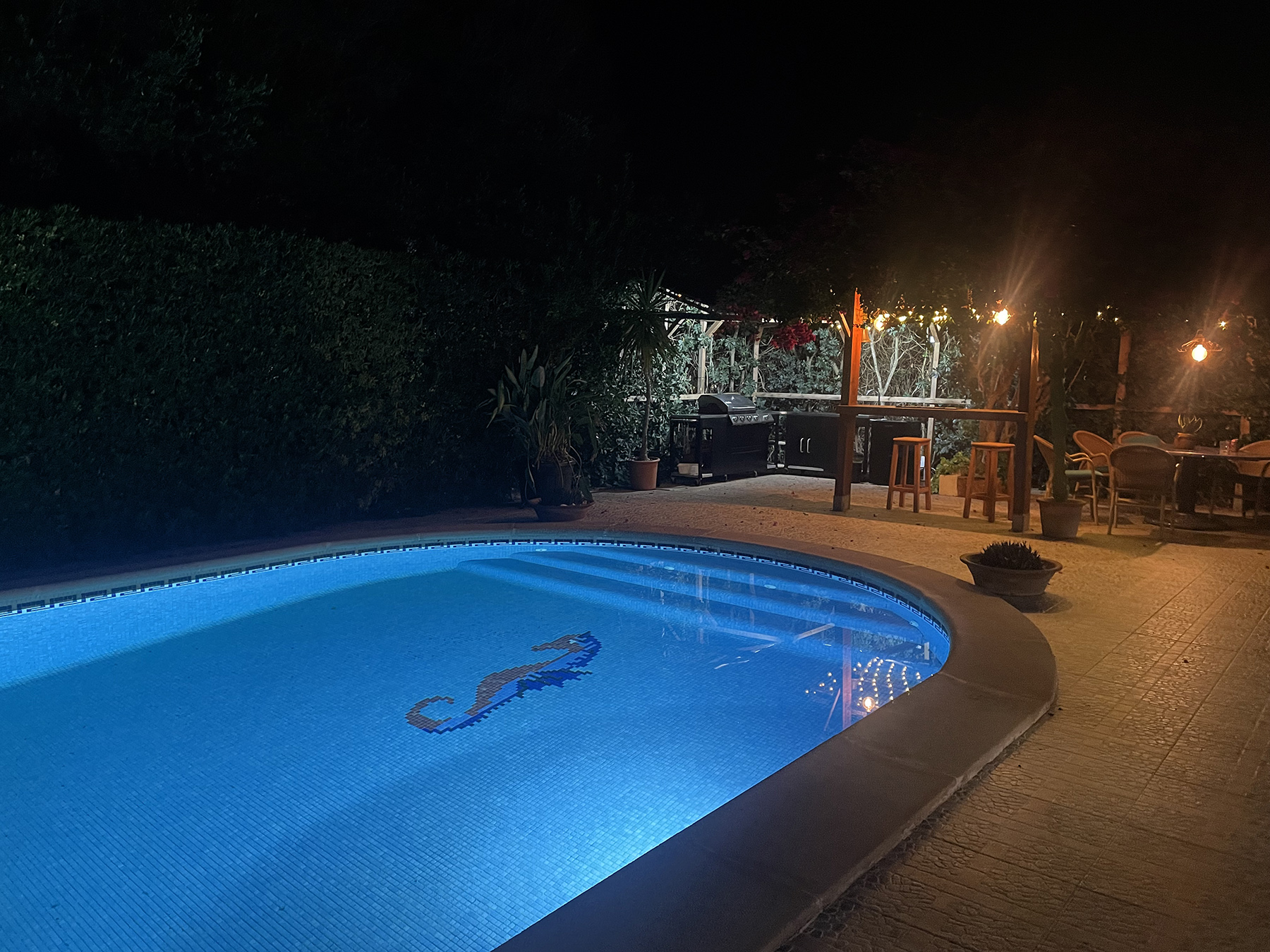Pool and bar by night