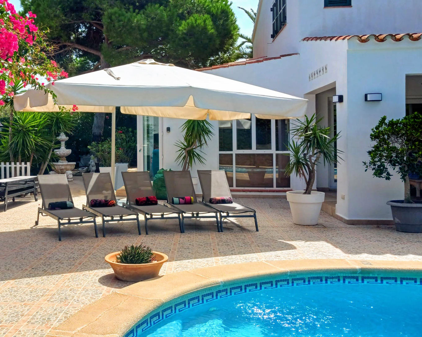 Large sun shade new for 2024